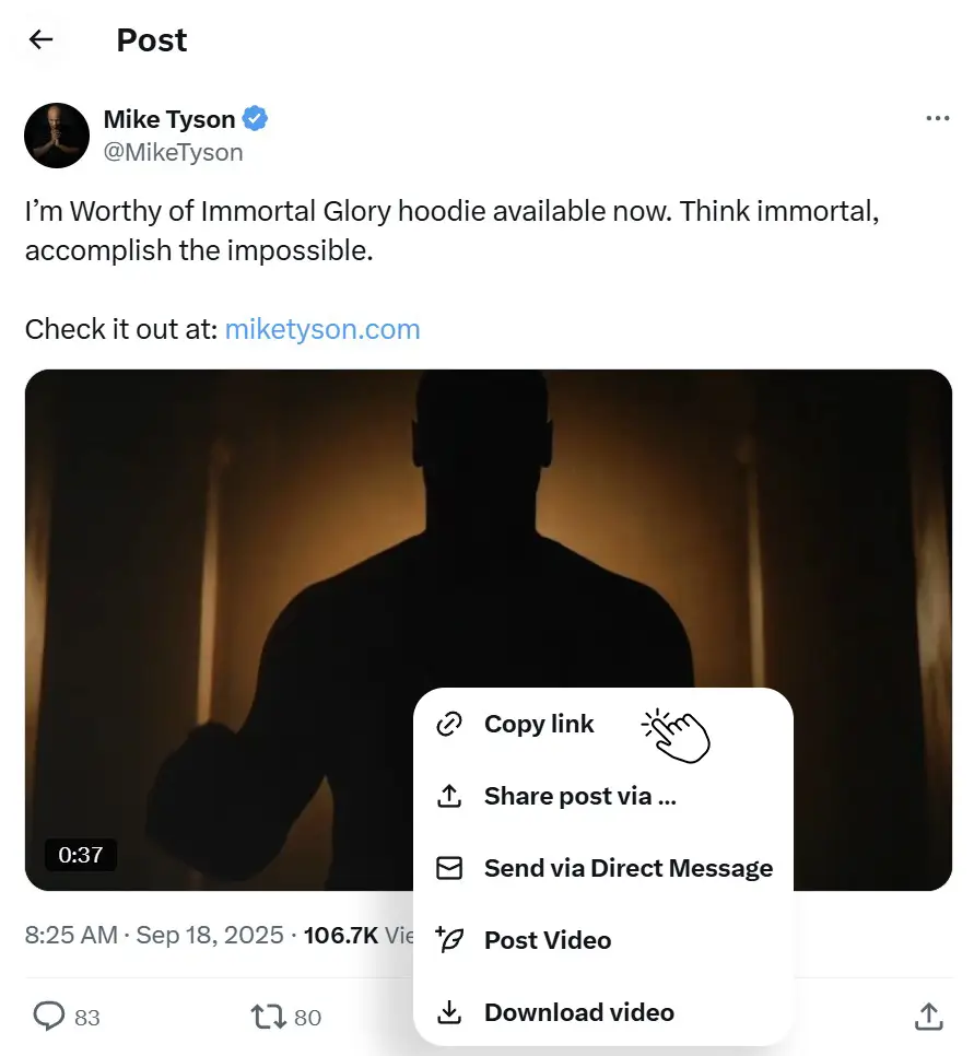 step-1-how-to-find-and-copy-an-x-twitter-post-link