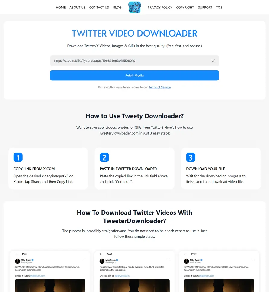 step-2-pasted-copied-link-in-search-input-box